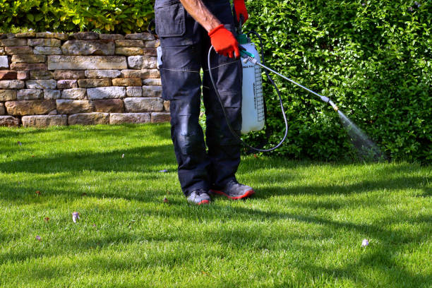 Pest Control for Hotels in East Port Orchard, WA